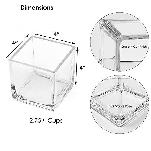 Cys Excel GCB046-1PIECE Glass Cube Vase 4 Inchx4 Inchx4 Inch thumb #1