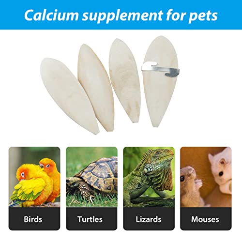 4-PCS-Cuttlefish-Bone12-13cm-Birds-Parrots-Chewing-Toys-with-2-Pcs-Metal-Holder-Natural-Cuttlefish-Bone-Bird-Pet-Molar-Toy-for-Parrots-Cage-Birds-Reptiles-Tortoises-Snails