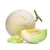 1G / Green Pack Carne Honey Dew Melone Semi di melata di Verdure C1My