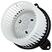 Scitoo ABS plastic Heater Blower Motor w/Fan HVAC Resistors Blowers Motors fit 2002-2008 Dodge Ram 1500/2003-2009 Dodge Ram 2500/2003-2009 Dodge Ram 3500/2009-2010 Dodge Ram 4500
