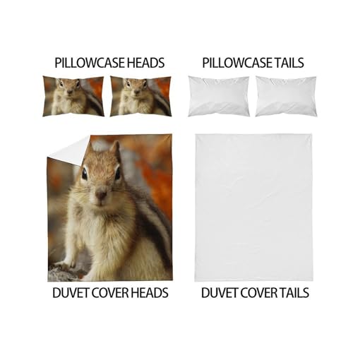 Housse de couette écureuil imprimé 3D en microfibre durable lit king pour chambre garçon - 4