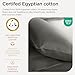 Threadmill Egyptian Cotton Queen Sheet Set | 100% Certified Egyptian Cotton Sheets for Queen Size Bed | Snug Fit Deep Pocket Queen Bed Sheets Set | Soft Cooling Sateen Bedding Set | Dark Grey