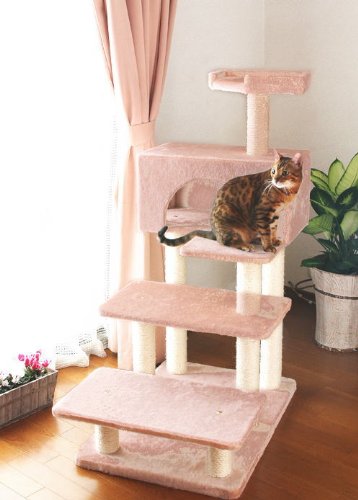 Amazon | マウ (Mau) Mauタワー エスカリエ ピンク | Mau | キャット