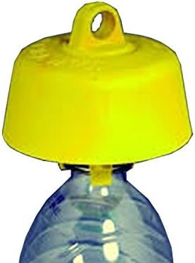 trappole per mosche della frutta