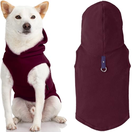 Best Jacket for English Bulldog Stay Warm and Stylish with These Top