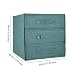 Stoff Aufbewahrungsbox mit Deckel faltbar Schublade Teiler Organizer Kleiderschrank Schublade Teiler Unterwäsche Schrank für Socken, BHs, Krawatten (3 * 3)