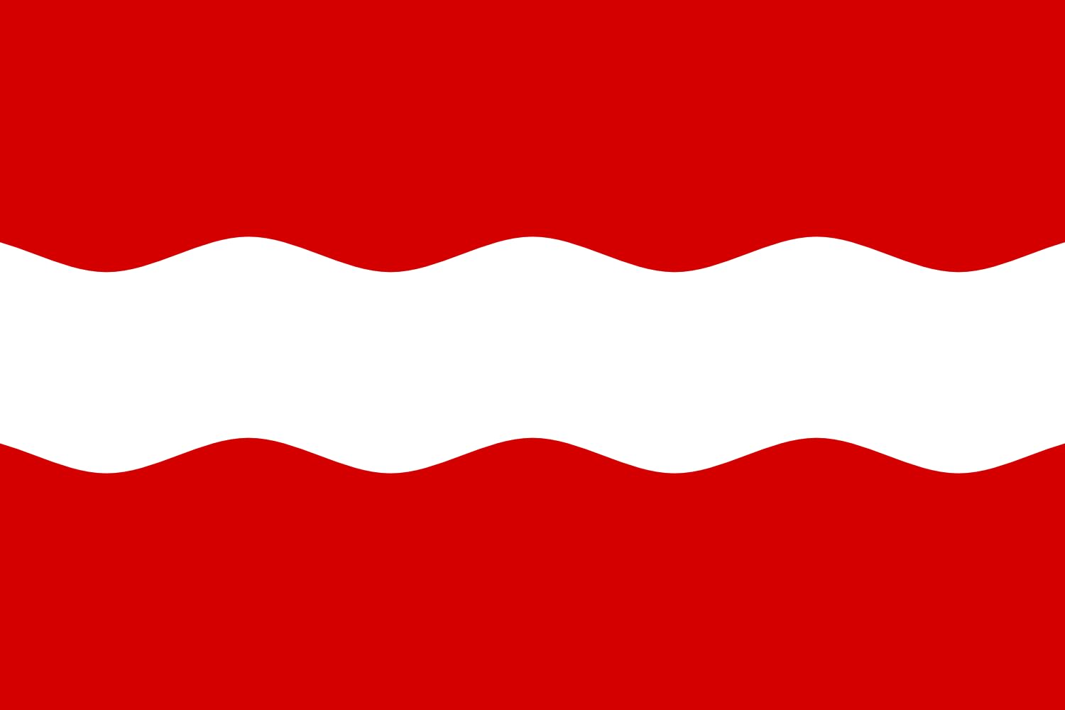 Drapeau Large Ruzhyn Raion grand pavillon paysage 1.35m² pour mât extérieur