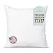 Pillowflex Pillow Form Insert - Machine Washable (17 Inch by 17 Inch)