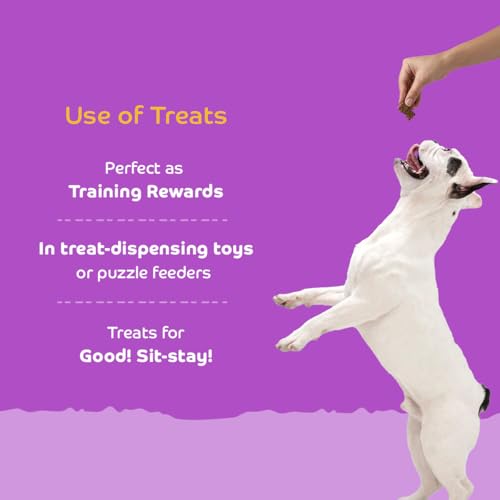 Image of Real Chicken Dog Biscuits for Puppies & Adult Dogs | Oven-Baked Crunchy Dog Treats Made with Real Ingredients | Healthy Training & Reward Snacks | 845g