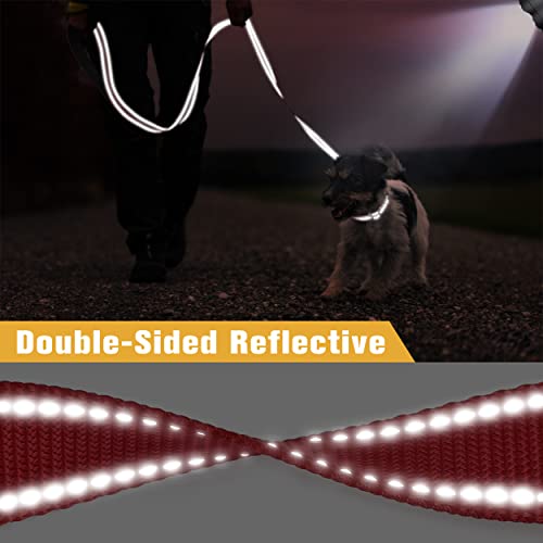 Tagme 5Ft Double-Sided Reflective Dog Leash, Soft Padded Handle Nylon Dogs Leashes For Walking And Training For Small & Puppy Dogs, Red #TOP2