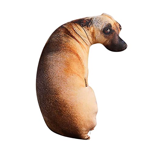 Benboo 3D vgNbVtANbV 35 C`ƑAFlAqpʔ, nEh