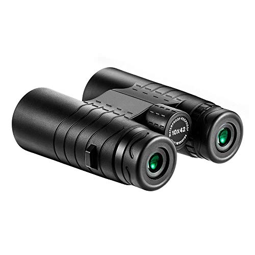 Jumelles 10X42 HD avec optique étanche IP68 pour observation de nuit