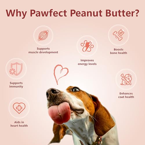 Pawfect Erdnussbutter für Hunde – 100% natürlich | Unterstützt eine gesunde Verdauung | Futter-Topper für Hunde | ohne Zusatz von Salz/Öl/Zucker | perfekt für Training & Belohnungen | Topper für