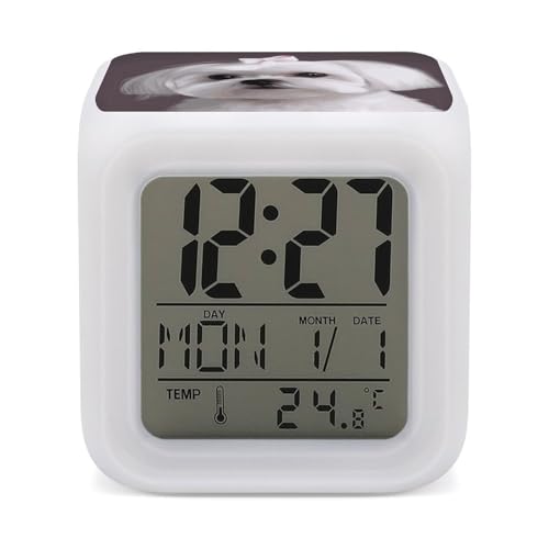 maccbn Schöner digitaler Wecker mit Malteserhund, 7 Farbwechsel, Weckuhr mit Temperatur, Datum, Schlummeranzeige, batteriebetrieben, Nachtlicht, leise neben Lampe für Schlafzimmer