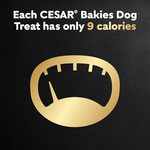 CESAR BAKIES Dog Treats, For Small Breed Adult Dogs, Bacon Roasted Chicken Flavour, Crunchy Texture, Fun Shapes, 550g Resealable Pouch image 6