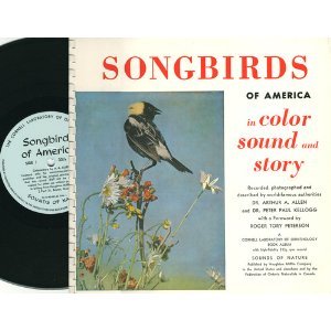 Songbirds of America in Color Sound and Story Bookalbum - Livros na ...