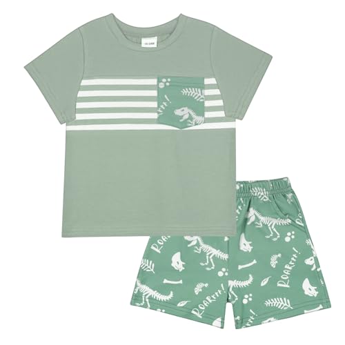 JiuBreeze Toddler Baby Boy Clothes Boys Summer Outfits T-shirt Boy Shorts Set 18 Months-4T (Light Green, 2-3T)