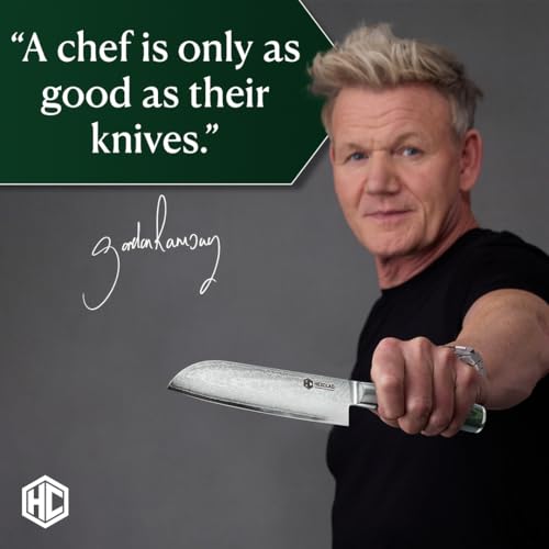 HexClad Santoku Knife, 18 cm Japanese Damascus Stainless Steel Blade, Full Tang Construction, Pakkawood Handle