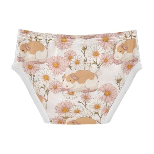 Wusikd Cute Guinea Pigs Boys' Underwear Cotton Boys Briefs Soft Toddler Underwear 2T2