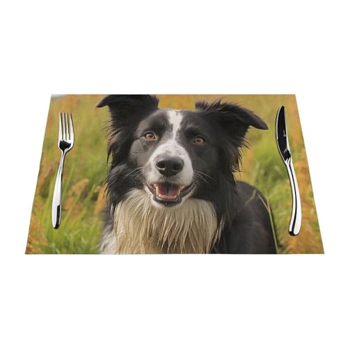 Set de table PVC Border Collie lavable Mohado 30x45cm