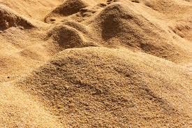 See full amazon price history chart for Wood Sawdust/lakdi ki bhusi, Saw dust Powder, Wood dust Powder, Lakda no Ver, for Gardening, Pets Bedding, Composting, Mulching, Planting Media (2 KG) Wood Sawdust/lakdi ki bhusi, Saw dust Powder, Wood dust Powder, Lakda no Ver, for Gardening, Pets Bedding, Composting, Mulching, Planting Media (2 KG) (B0CKWHFW1M) Amazon Price History, Amazon Price Tracker