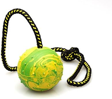 ball on a string for dogs