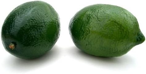 Artificial Lime, Box of 12