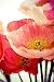 100,000 Shirley Poppies Seeds: Pastel Poppy Seeds - Non GMO and Neonicotinoid Seed