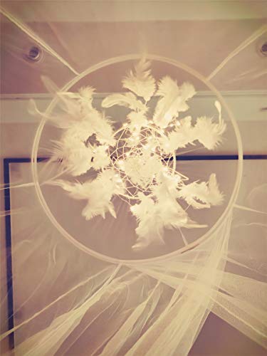 Bed Canopy With Double Circle White Feather Dream Catcher And 50 Led Fairy String Lights, Mosquito Net - Unique Style Dome Bed Netting Canopy Curtains Canopy - Suggested For Twin Full Queen King Bed #TOP3