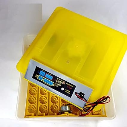 TM&W-(HHD) |All-in-One Egg Incubator 48 Egg Incubator Egg Hatching Incubator with Fully Automatic Egg Turning and Humidity Control, Temperature Alarm, Clear Poultry Hatcher for Chicken, Quail, Duck