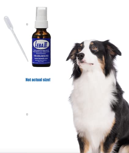 Leba Iii - Two Pack - 100% Natural And Herbal Dog And Cat Dental Spray - Keep Your Pets Teeth Clean, Gums Healthy And Their Breath Fresh - Removes Build Up - Dog Dental Spray - Cat Dental Spray #TOP5