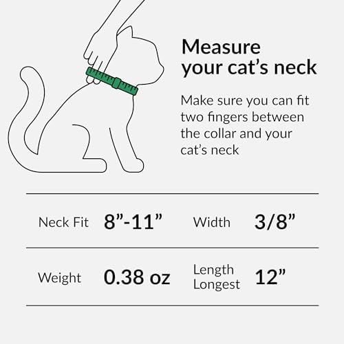 CollarDirect Leather Cat Collar with Bell - Kitten Collar, Small and Big Cat Collar for Boy Cats, Girl Cats with Safety Elastic Strap (Neck Fit 8"-11", Navy Blue) - 3