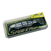 SP-C入りSpine-X 190F Dragon Fish G、Sセット SP-C入りSpine-X 190F Dragon Fish G、Sセット
