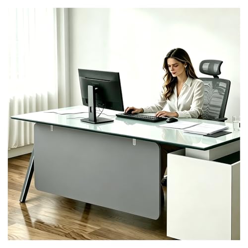 Desk Privacy Panel, Desks Partition Cubicle Privacys L 50 60 70 90 120 140 160cm Under Table Divider, for Open-Plan Workspace/Work from Home(Dark Gray,LxH 60x60cm)
