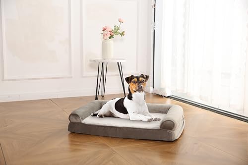 Image of Amazon Basics Dog Bed with Premium Foam, Pressure-Relief Support for Dogs up to 30lbs, Non-Slip Bottom, Machine Washable Cover, Medium Sized (30 inch x 20 inch), Taupe