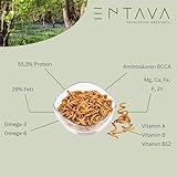 ENTAVA Frisches Insektenpüree - 100% Insekten, Igelfutter, Vogelfutter, Reptilienfutter, (Wild-) vogelfutter, Kleinnagerfutter, Frettchenfutter, Fischfutter (200g)