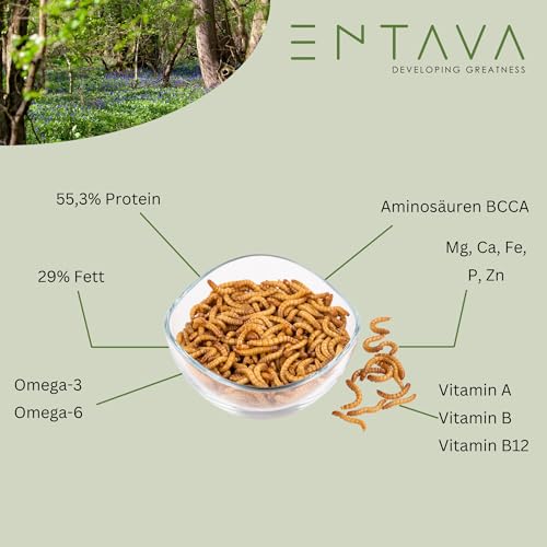 ENTAVA Frisches Insektenpüree - 100% Insekten, Igelfutter, Vogelfutter, Reptilienfutter, (Wild-) vogelfutter, Kleinnagerfutter, Frettchenfutter, Fischfutter (200g)