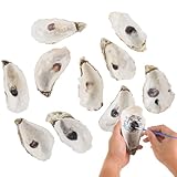 Lot de 10 coquillages d'huîtres, travaux manuels et décoration, naturels, 12,7 à 15,2 cm, bricolage