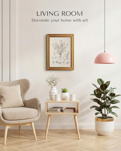 Image of HUARCEY Gold Framed Vintage Wall Art for Living Room, Flowers Painting Prints Shelf Decor for Kitchen, Aesthetic Bedroom Wall Art, Best Gifts for Friends or Family - Veronica biloba 16L x 12W