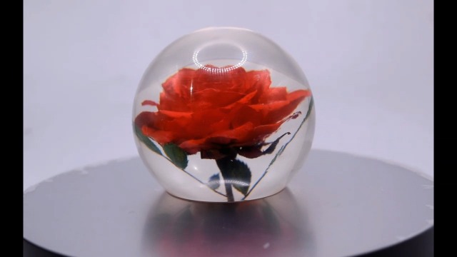 Image of 60mm Real Red Rose in Crystal Clear Lucite Resin Ball June Birth Month Flower Anniversary Wedding Engagement Valentine Mother's Day Gift Botanist Herb Herbarium Paperweight Display Decor Collection