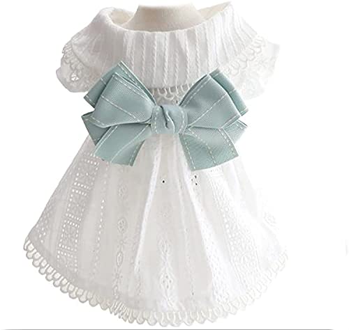 LUAMY _炩  s[X ybg t [X XJ[g hbOEFA L hX Pl pm {t lC  ̕ L o| EFfBO p[eB[ LOBe (M, )