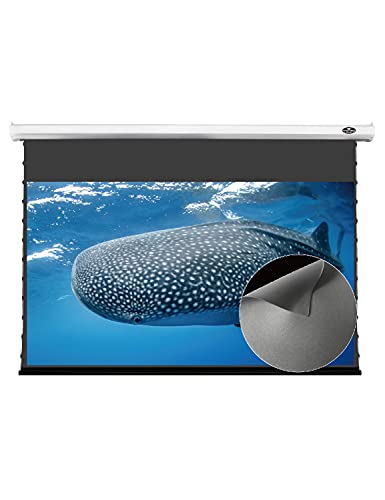 VIVIDSTORM-Ceiling Mount Screen,White Housing Obsidian Long Focus ALR PRO Deluxe Motorized Drop Down Screen,Compatible with Lumen up to 2500ANSI Standard Throw Projector,V6JLALR100H