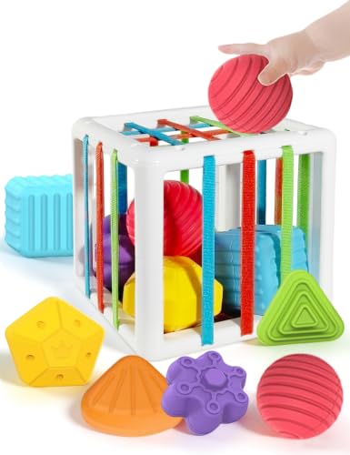 BLCXTOYZ Montessori Toys for 1 Year Old - 6 Pc Shape Sorter Activity Cube