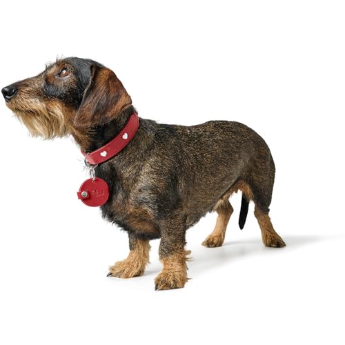 HUNTER Anhänger Hundemarken-Etui Love Farbe braun, Größe S