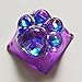 Elacgap Cat Claw Keycap Cute Drip Glue Backlight Keycaps DIY ESC Arrow Key Keycap Replacement for Cherry MX Gaming Mechanical Keyboard (Dark Purple)