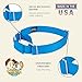 Country Brook Petz - Martingale Dog Collar - Heavy-Duty Training Collar with No Buckle - Service Dog Collar for All Pups - 20 Vibrant Colors (Ice Blue, 3/8 Inch, 2XS)