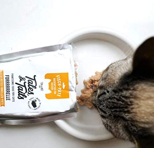Tales & Tails® - Nassfutter für Katzen getreidefrei 100% Fisch pur, 100g (Forelle)