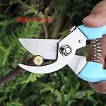 Curve Garden Scissors with Sharp Stainless Steel Blade for Cutting Flowers, Trimming Patio Plants, Floristry, Flowers, Roses, Herbs, Bonsai and Fruit Picking (Pink Handle)