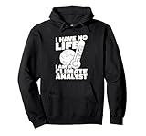 Wetterprognose Klimawandel Emissionsanalyse Klimaanalytiker Pullover Hoodie