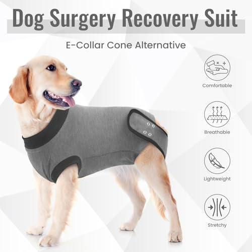 Image of IDOMIK Dog Recovery Suit for Neuter Spay,Anti-Licking Dog Surgical Bodysuit